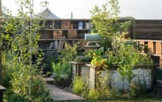 Jardin en terraza ecologico glean Tatton Park 2024 Julie Skelton 1000 px 5